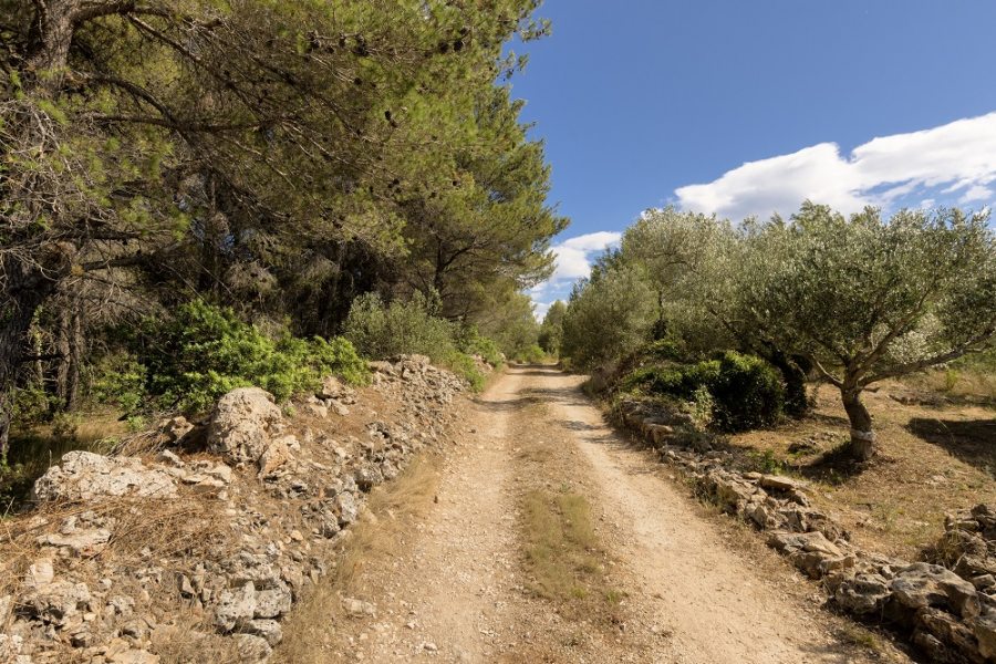 Road leading to the villa